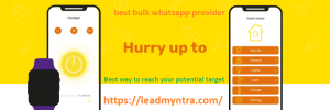 best bulk whatsapp provider