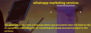 whatsapp marketing services